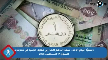 رسميًا اليوم الأحد.. سعر الدرهم الإماراتي مقابل الجنيه في تحديثات السوق 17 أغسطس 2025